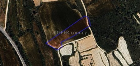 Agricultural Field for sale in Kathikas, Paphos