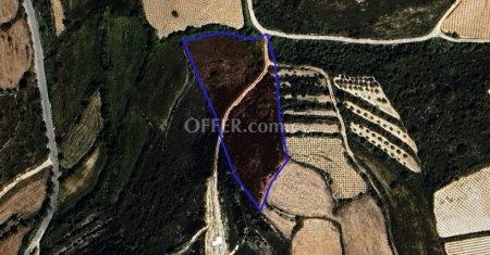 Agricultural Field for sale in Kathikas, Paphos - 1