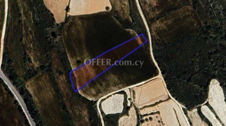 Agricultural Field for sale in Kathikas, Paphos