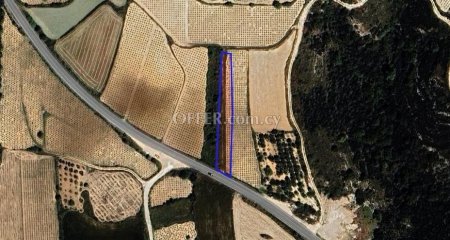 Agricultural Field for sale in Kathikas, Paphos