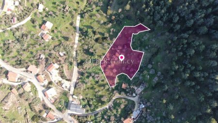 Residential field located in Pigenia Nicosia - 6