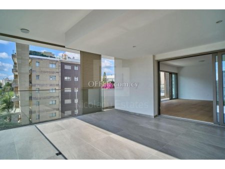 Luxury 2 bedroom Penthouse for rent in Acropoli - 4