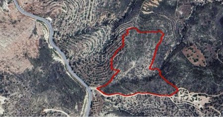 Agricultural Field for sale in Mathikoloni, Limassol - 1