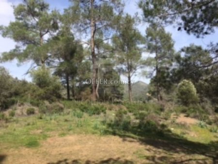 Field for Sale in Lythrodontas Nicosia