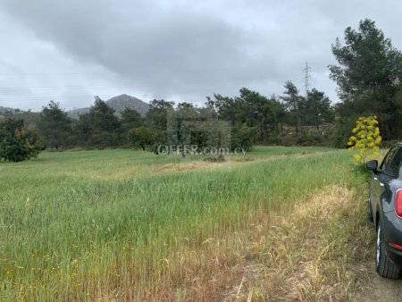 Field for Sale in Kornos Larnaka