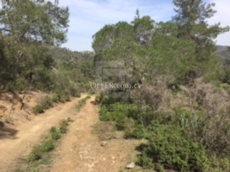 Field for Sale in Lythrodontas Nicosia - 6