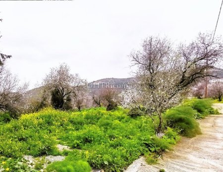 TWO RESIDENTIAL PLOTS OF 1629m2 LAND NEAR THE VILLAGE OF KATO LEFKARA - 4
