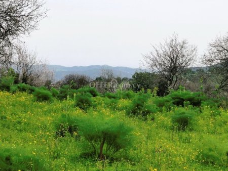 TWO RESIDENTIAL PLOTS OF 1629m2 LAND NEAR THE VILLAGE OF KATO LEFKARA - 3