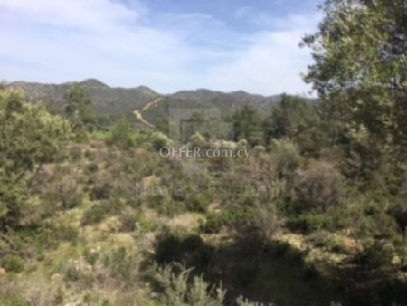 Field for Sale in Lythrodontas Nicosia - 3