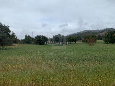 Field for Sale in Kornos Larnaka - 6