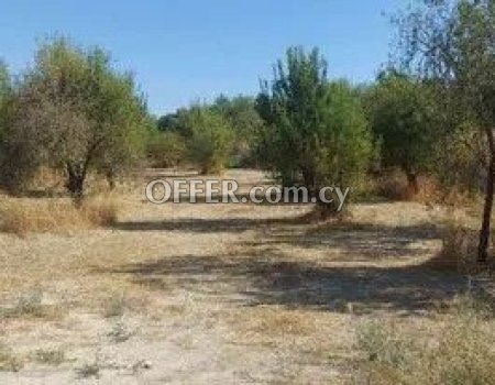 For sale land in Kallepeia village , Paphos - 1196m2 – 60 % - 1