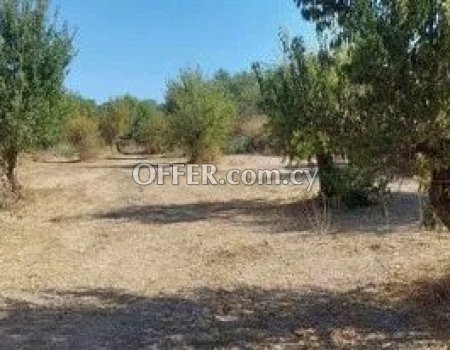 For sale land in Kallepeia village , Paphos - 1196m2 – 60 % - 2