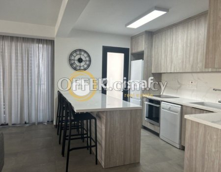 Brand New Fully Furnished 2 Bedroom Apartment - 3