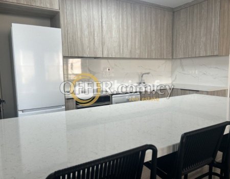 Brand New Fully Furnished 2 Bedroom Apartment - 4