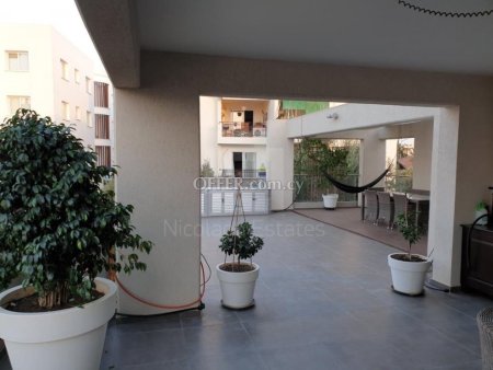 Three bedroom penthouse with roof garden for sale in Strovolos near Pedieos park - 5