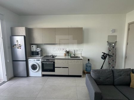 Modern Fully Furnished One Bedroom Apartment for Rent near University of Cyprus Aglantzia - 2