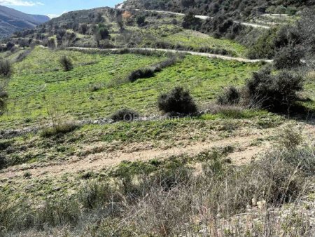 Agricultural Field for sale in Agios Ambrosios, Limassol