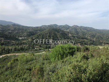 Large Piece Of Land Of 25284 Sq.M.  In Agios Mamas - Close To Trimikli - 1