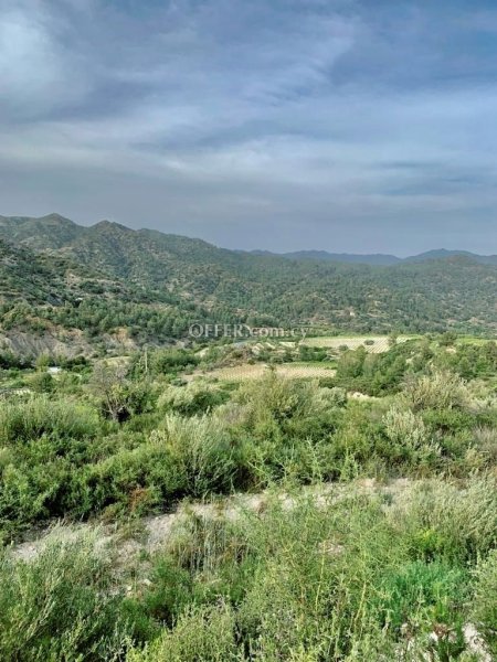 Field for sale in Trimiklini, Limassol