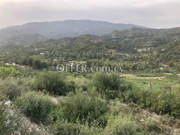 Large Piece Of Land Of 25284 Sq.M.  In Agios Mamas - Close To Trimikli - 3