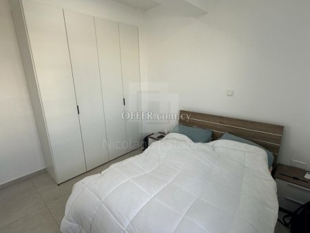 Modern Fully Furnished One Bedroom Apartment for Rent near University of Cyprus Aglantzia - 10