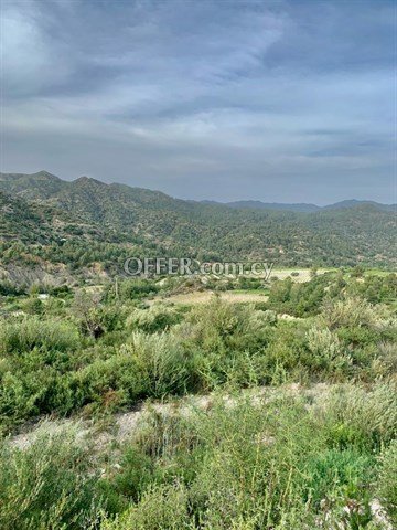 Large Piece Of Land Of 25284 Sq.M.  In Agios Mamas - Close To Trimikli - 2