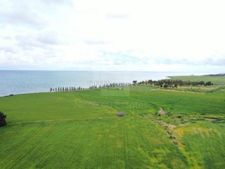 Beachfront Fields for Sale in Softades Larnaka - 2