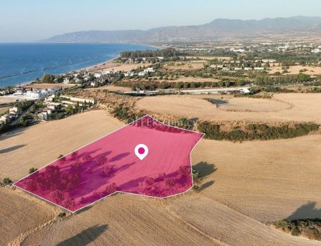 Field for sale in Polis Chrysochous, Paphos - 3
