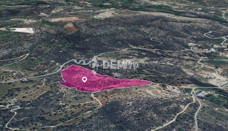 Agricultural Land For Sale in Agios Isidoros, Paphos - DP380 - 1