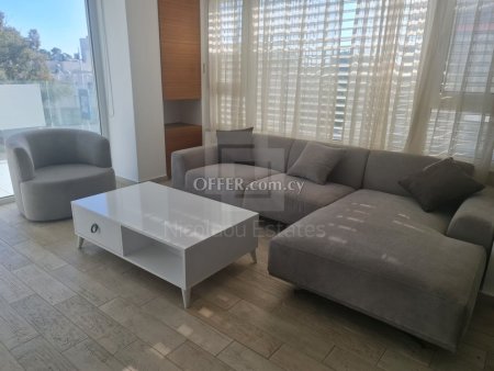 Luxury large three bedroom apartment opposite Dasoudi beach in Potamos Germasogia
