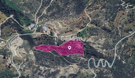 Agricultural Land For Sale in Agios Isidoros, Paphos - DP381 - 3