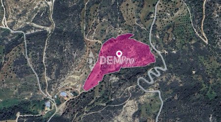 Agricultural Land For Sale in Agios Isidoros, Paphos - DP380 - 3