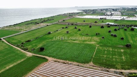 Field in Maroni, Larnaca - 5