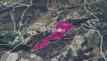 Agricultural Land For Sale in Agios Isidoros, Paphos - DP381 - 2