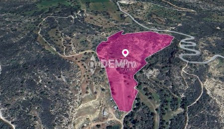 Agricultural Land For Sale in Agios Isidoros, Paphos - DP380 - 2