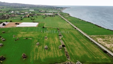 Field in Maroni, Larnaca - 3