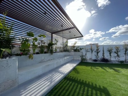 Ultra Luxury five bedroom villa in Agia Napa area of Ammochostos - 3