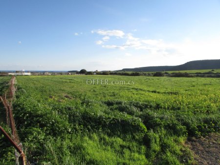Land Parcel 11924 sm in Avdimou, Limassol - 4