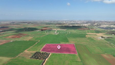 Agricultural field in Frenaros Ammochostos - 4