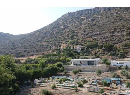 House (Detached) in Finikaria, Limassol for Sale - 6
