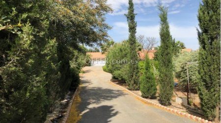 New For Sale €799,000 House (1 level bungalow) 4 bedrooms, Detached Agioi Trimithias Nicosia - 4