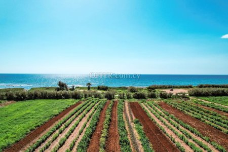 Field for Sale in Ormideia, Larnaca - 3