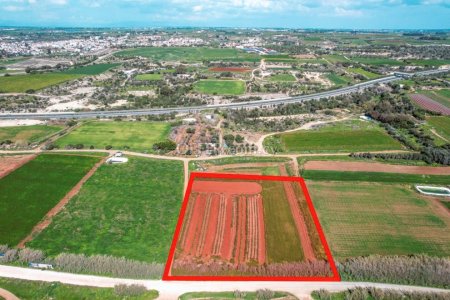 Field for Sale in Ormideia, Larnaca - 9