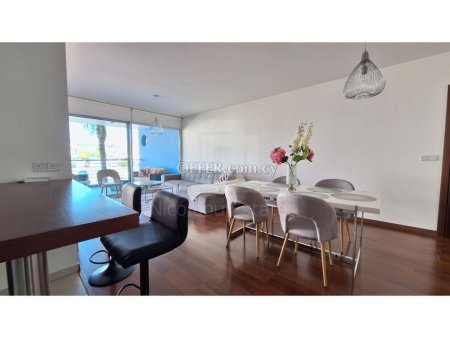 Very spacious 3 bedroom modern apartment in the city center - 3