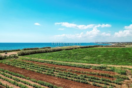 Field for Sale in Ormideia, Larnaca - 4