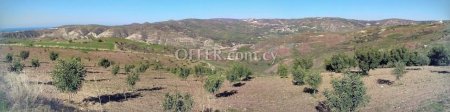 Field for sale in Choletria, Paphos