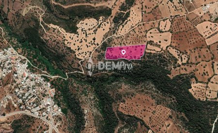 Agricultural Land For Sale in Neo Chorio, Paphos - DP3342 - 1