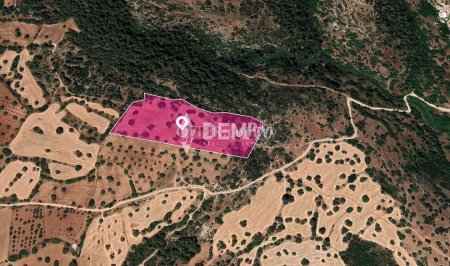 Agricultural Land For Sale in Neo Chorio, Paphos - DP3342 - 3
