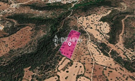Agricultural Land For Sale in Neo Chorio, Paphos - DP3342 - 2