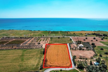 Field for Sale in Agios Theodoros Larnakas, Larnaca